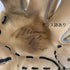 ミズノ MIZUNO ミズノプロ 硬式 大人 一般 内野手用 グローブ グラブ 右投げ 1AJGH24213 中古品 野球 6253