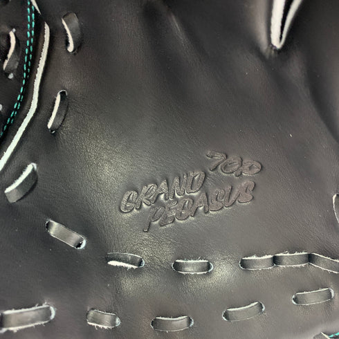 ワールドペガサス WORLD PEGASUS WGK3PT462 硬式 大人 一般 内野手用 グローブ グラブ 右投げ タグ付き 野球 1074