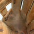 ウィルソン Wilson ワナビーヒーロー 軟式 大人 一般 内野手用 グローブ グラブ 右投げ RHH27T 中古品 野球 7735