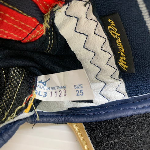 MIZUNO ミズノプロ バッティング手袋 シリコンパワーアークDI 1EJEA25014 未使用品 25cm 2407