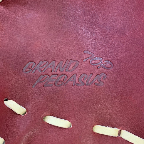 ワールドペガサス Worldpegasus グランドペガサス TOPシリーズ 硬式 内野手用グローブ WGKGPT651 5224