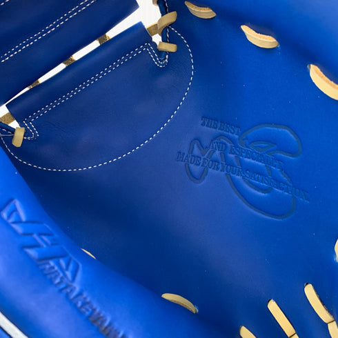 ハタケヤマ HATAKEYAMA PRO-F23 最優秀バッテリー記念モデル 軟式 大人 一般 キャッチャーミット 捕手 グローブ グラブ 右投げ タグ付き 野球 8758