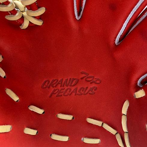 ワールドペガサス WORLD PEGASUS グランドぺガサス 硬式 大人 一般 内野手用 グローブ グラブ 右投げ WGKGPT6N タグ付き 野球 6869