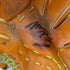 ミズノ MIZUNO ミズノプロ mizunopro ミズプロ 軟式 大人 一般 投手用 グローブ ピッチャー グラブ 右投げ オーダー 中古品 野球 8364