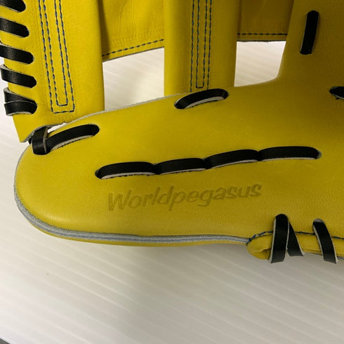 ワールドペガサス Worldpegasus グランドペガサス 硬式 内野手用グローブ WGKGPT5 5065