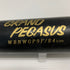 ワールドペガサス WORLD PEGASUS グランドペガサス 軟式 大人 一般 木製バット WBNWGP9F 中古 野球 8045