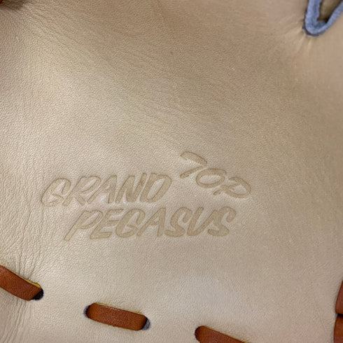 ワールドペガサス WORLD PEGASUS 硬式 大人 一般 内野手用 グローブ グラブ 右投げ WGKGPT6N タグ付き 野球 6136