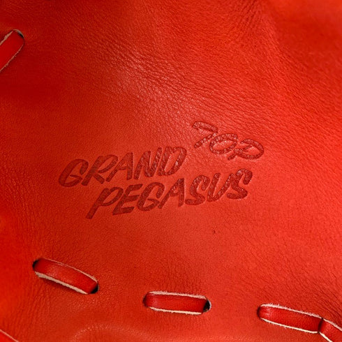 ワールドペガサス Worldpegasus グランドペガサス 硬式 投手用グローブ WGKGPT1 5052