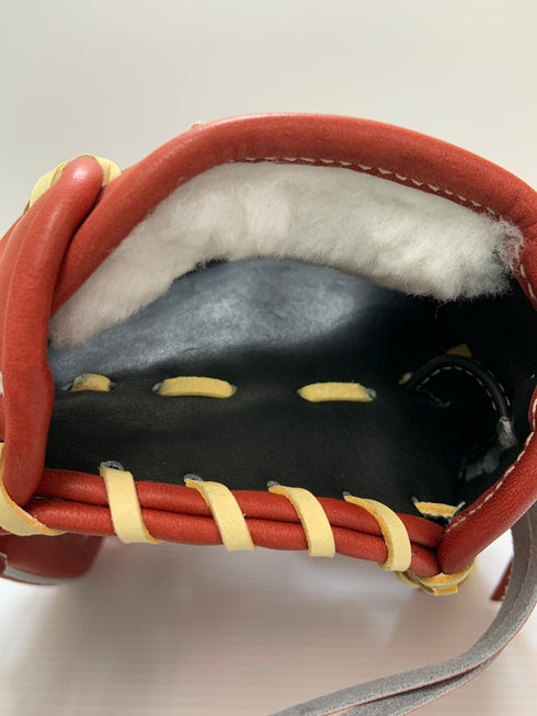 ローリングス Rawlings HOH 硬式 内野手用グローブ GH2HJR42H 3704