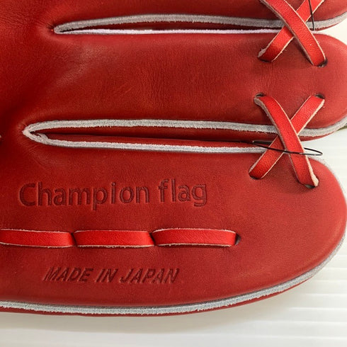 アシックス ASICS ゴールドステージ 硬式 内野手用グローブ 3121A532 5048