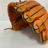 Harry 硬式 大人 一般 内野手用 グローブ グラブ 右投げ 中古品 野球 9966