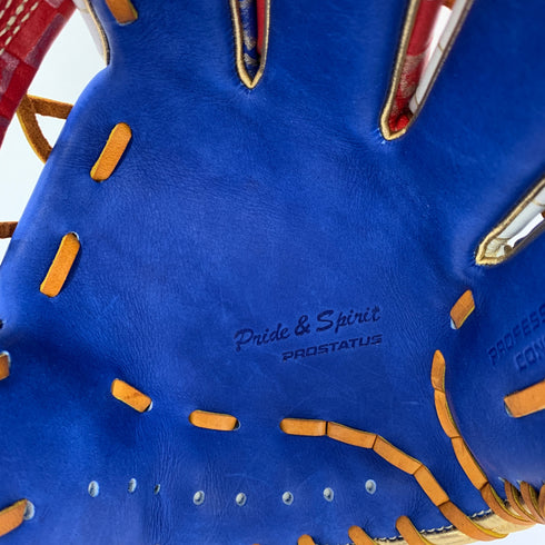 ゼット ZETT プロステイタス 軟式 大人 一般 内野手用 グローブ グラブ 右投げ BRGB32456A タグ付き グローブ袋付き 野球 6216