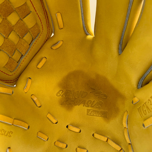 ワールドペガサス WORLD PEGASUS グランドペガサス TOP エボルブ 硬式 大人 一般 オールラウンド グローブ グラブ 右投げ WGK3FTE651L タグ付き グローブ袋付き 野球 6670