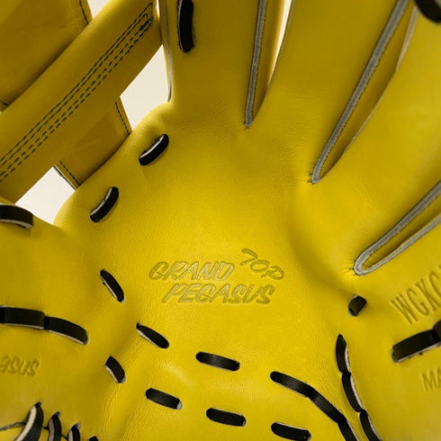 ワールドペガサス Worldpegasus グランドペガサス 硬式 内野手用グローブ WGKGPT5 5065