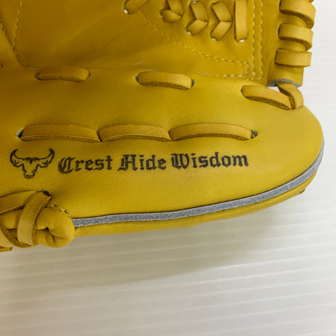 ミズノ MIZUNO ミズノプロ 硬式 大人 一般 投手用 グローブ ピッチャー グラブ 左投げ 1AJGH14201 タグ付き グローブ袋付き 野球 7435