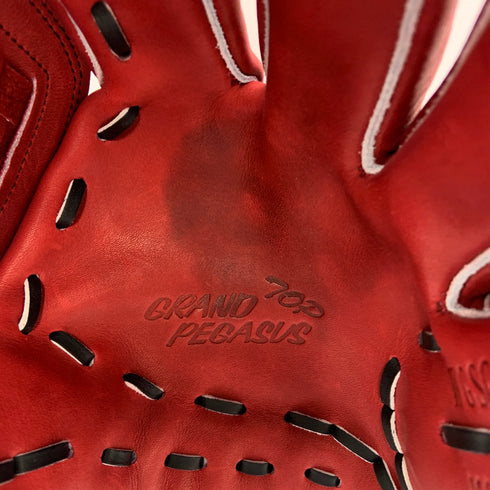 ワールドペガサス WORLD PEGASUS GRANDPEGASUS ソフトボール用 大人 一般 オールラウンド グローブ グラブ 右投げ WGSGPT651 タグ付き 野球 6547