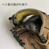 ハイゴールド HI-GOLD 軟式 大人 一般 内野手用 グローブ グラブ 右投げ オーダー 中古品 野球 9173