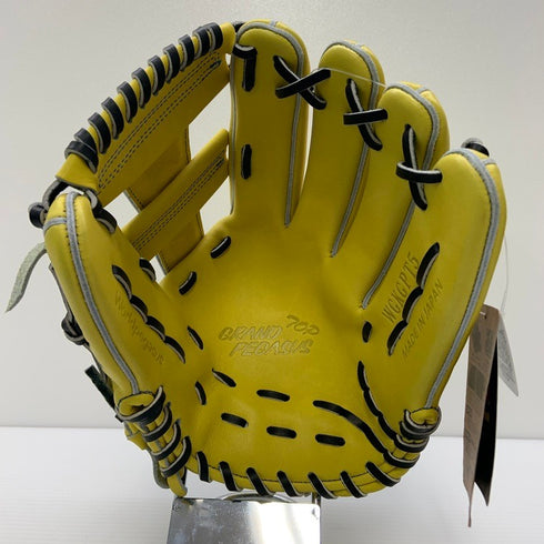 ワールドペガサス Worldpegasus グランドペガサス 硬式 内野手用グローブ WGKGPT5 5065